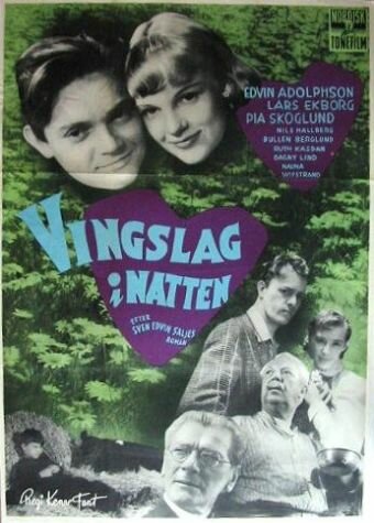 Vingslag i natten (1953)